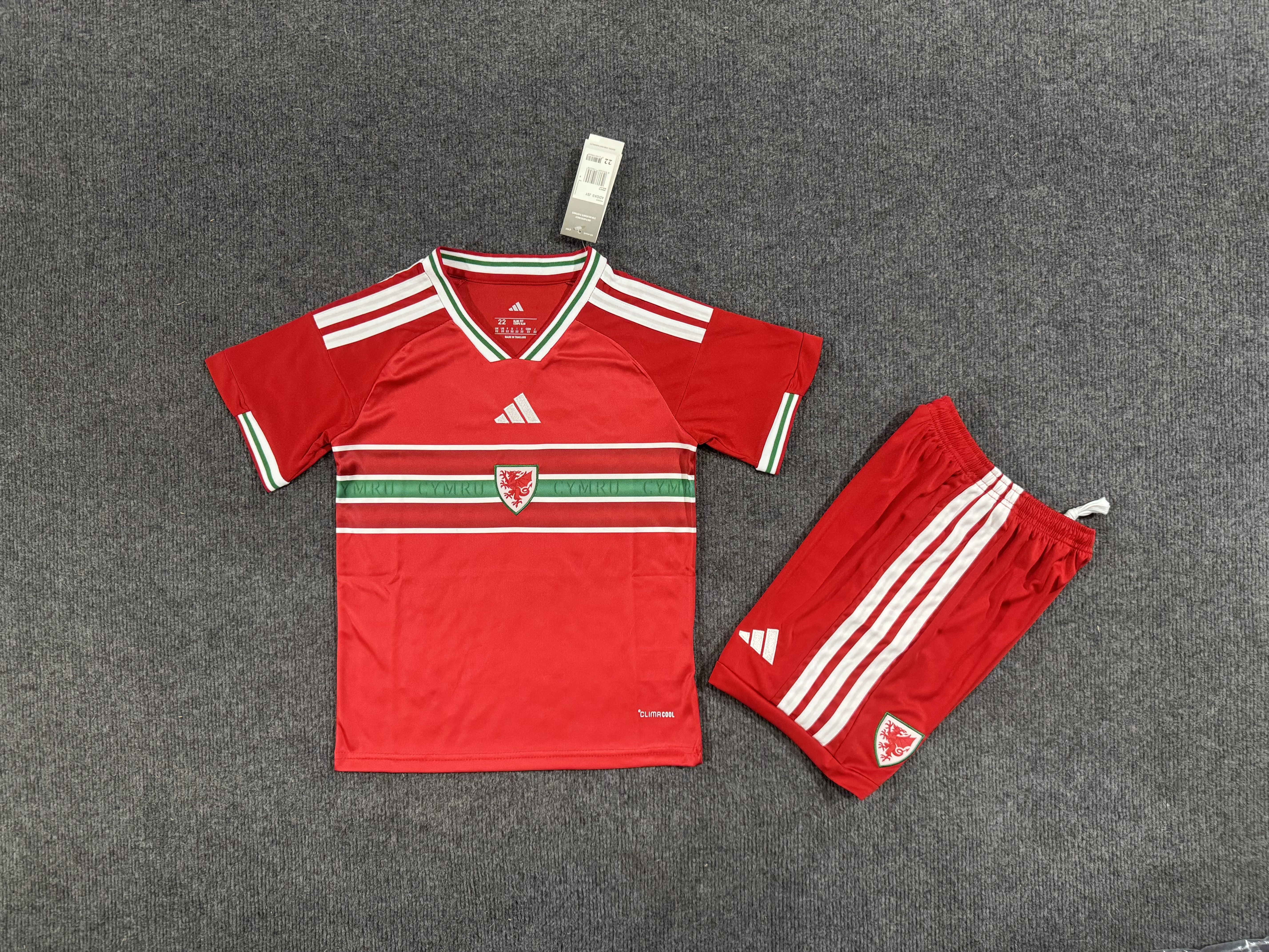 Kids Wales 2026  home  Soccer Jersey | short-sleeved | 507