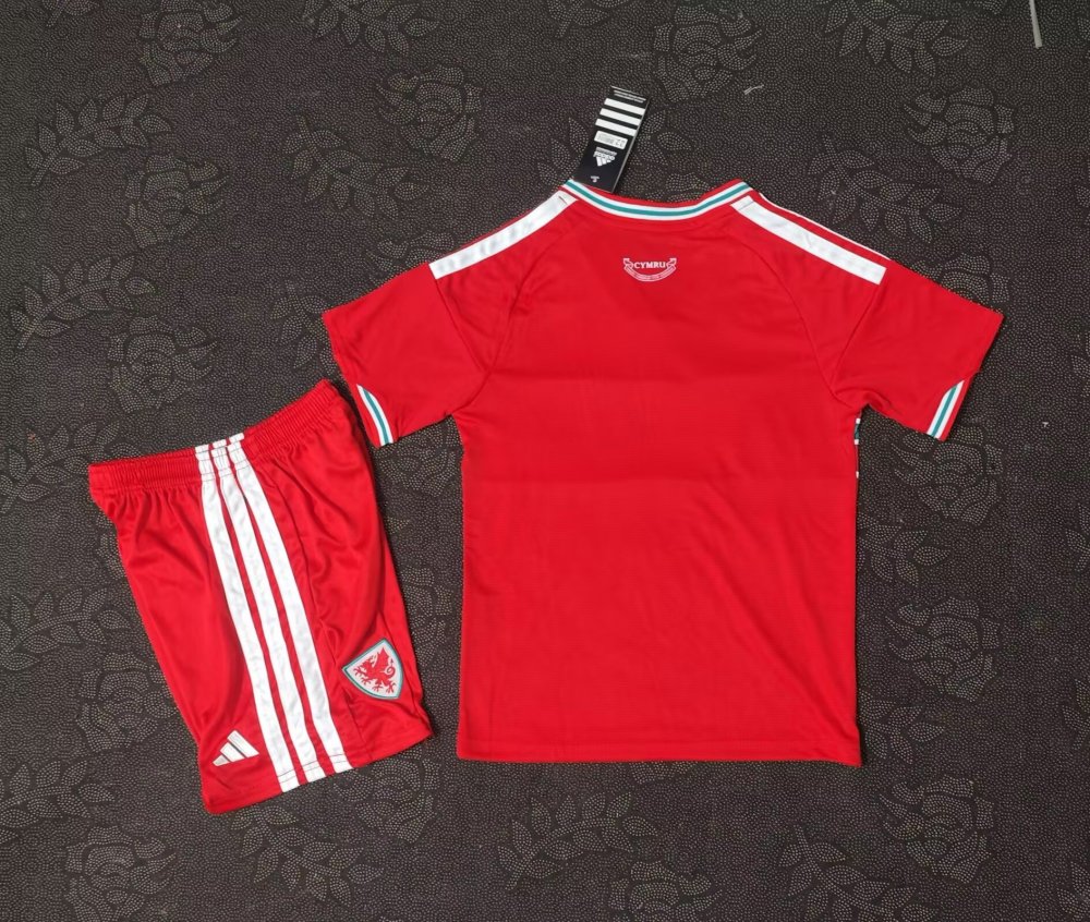 2627 Wales City Home Jersey Thai Version | Special Edition | S-2XL | Short-Sleeved | C269