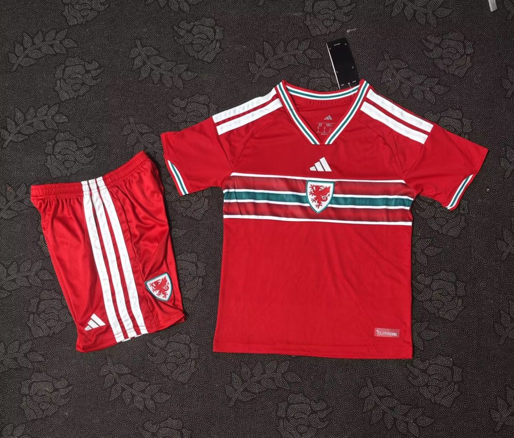 2627 Wales City Home Jersey Thai Version | Special Edition | S-2XL | Short-Sleeved | C269