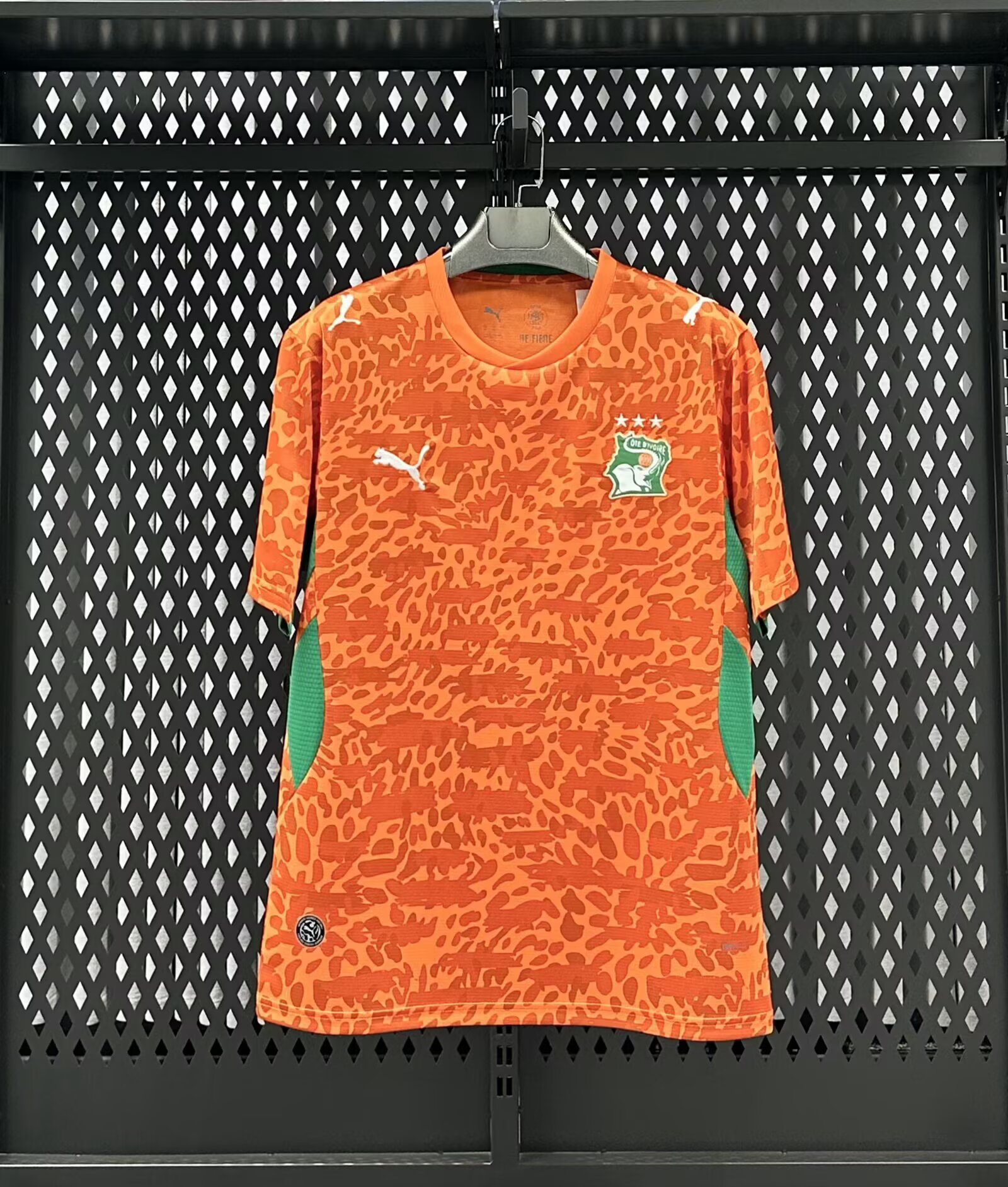2026-2027 Cote divoire Home Jersey | thai version | short-sleeved | 269