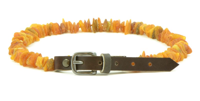 Authentic Amber pet collar