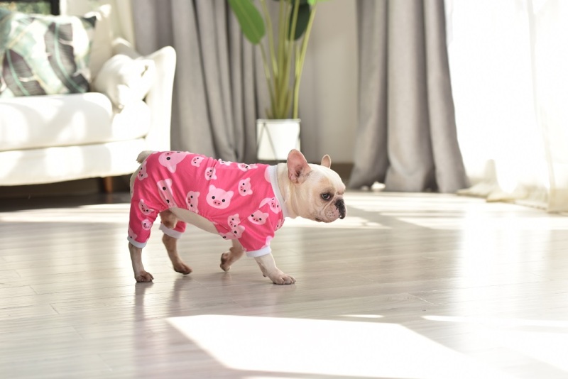 Pink Pig Dog Pajamas