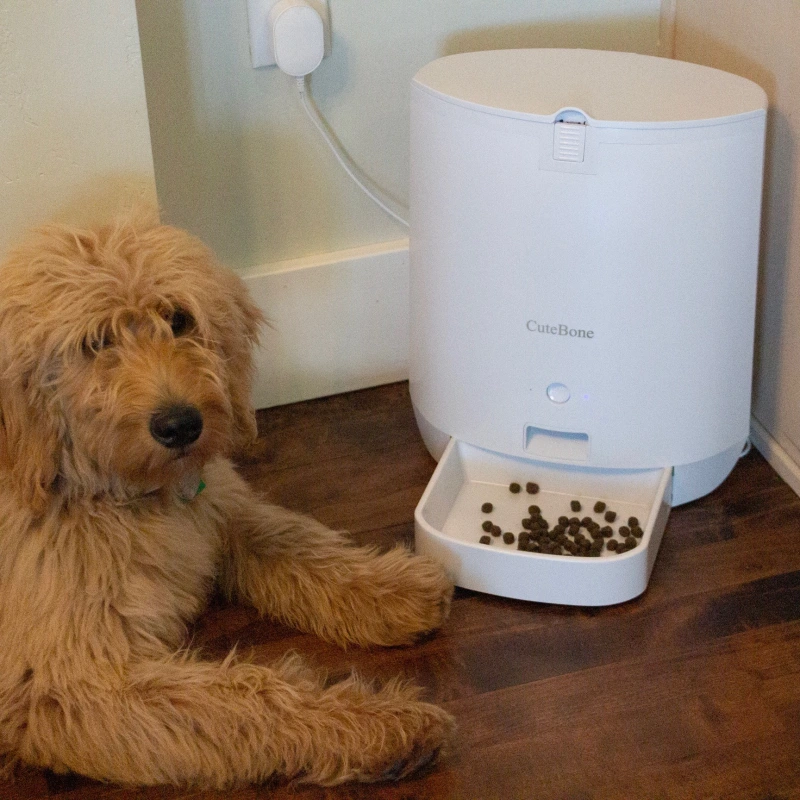 Cat &amp; Dog Automatic Feeder