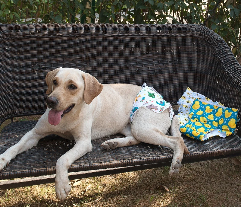 3 Pack Animal Print Reusable Diapers for Female Dog