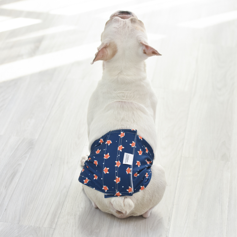 3pcs Washable Belly Bands for Male Dogs -- Fox&amp;Dog