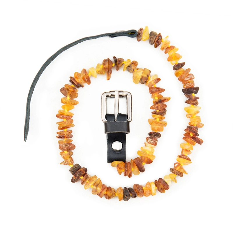 Authentic Amber pet collar