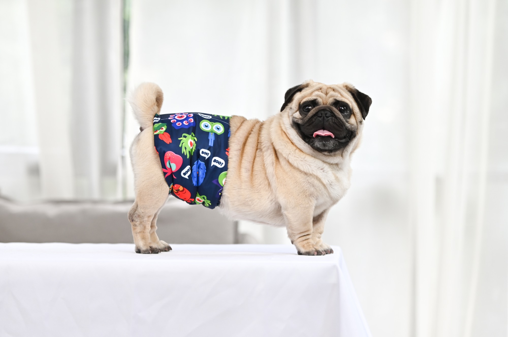Langsprit Male Belly Bands For Dogs (Pack Of 3) - Dog