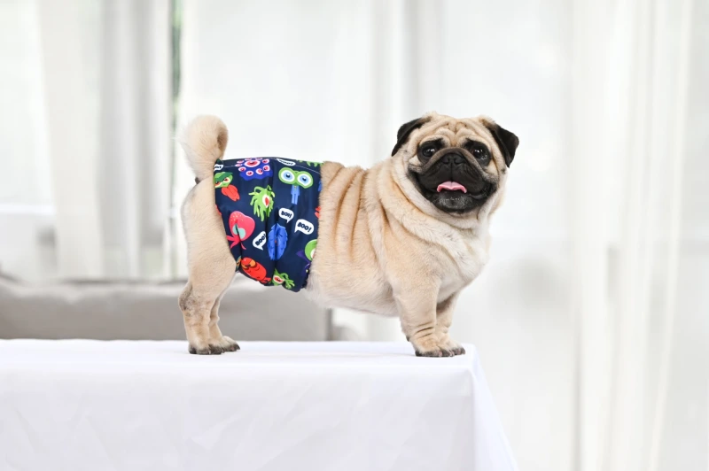 3pcs Washable Belly Bands for Male Dogs -- Dinosaur&Shark