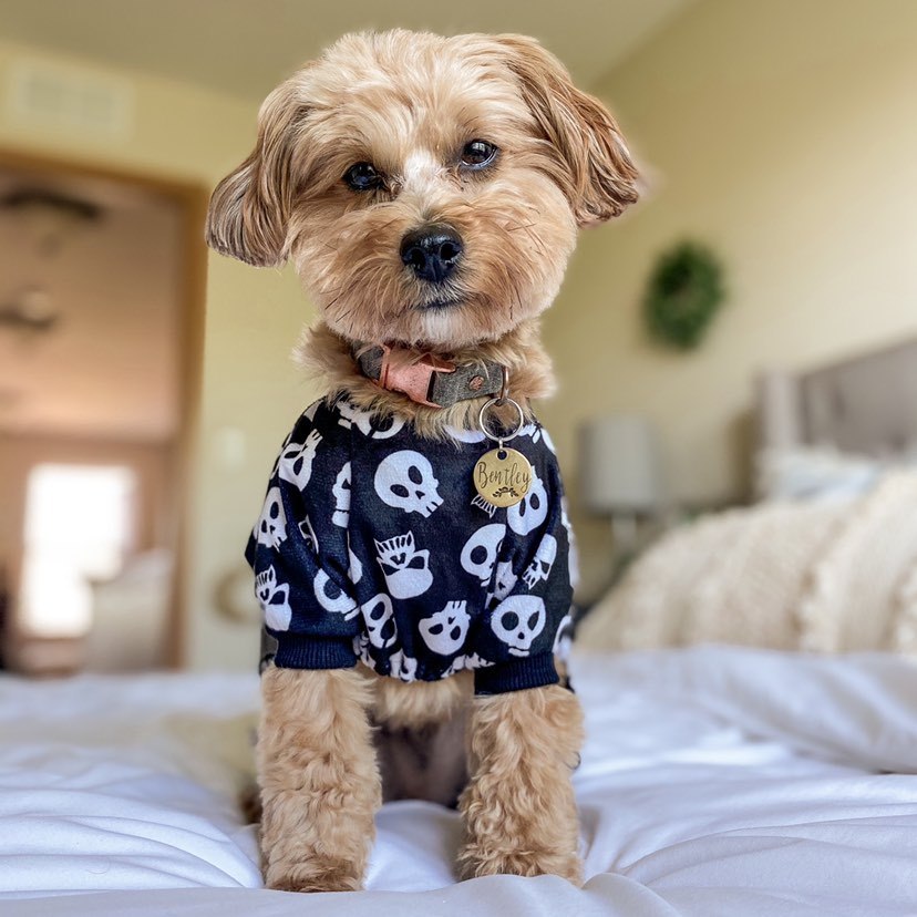 Black Skeleton Pajamas