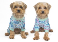 Colorful clouds & Hot air balloon Dog pajamas-2 pcs