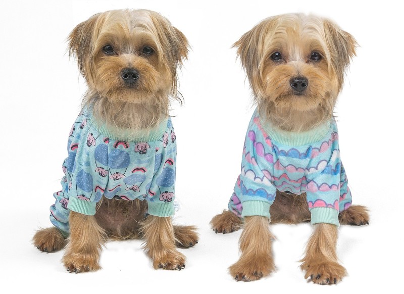 Colorful clouds &amp; Hot air balloon Dog pajamas-2 pcs