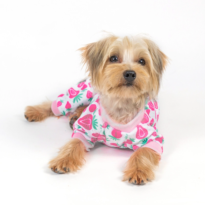 Strawberry&amp;Pineapple Dog Pajamas- 2pcs