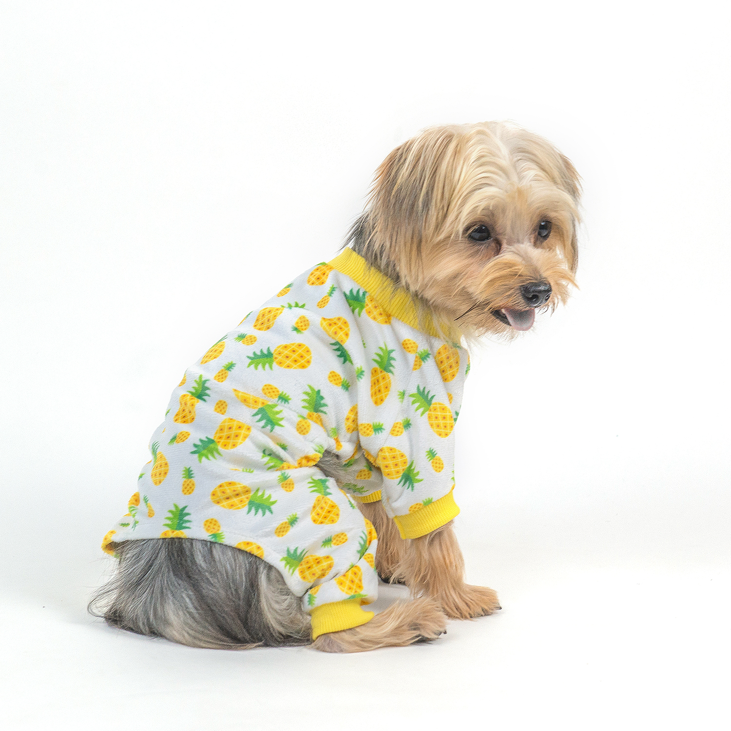 Strawberry&Pineapple Dog Pajamas- 2pcs