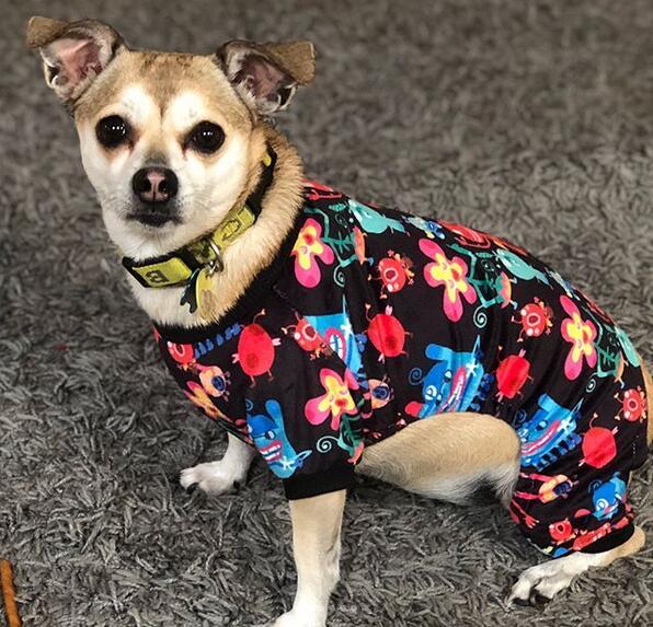 Alien pattern dog pajamas