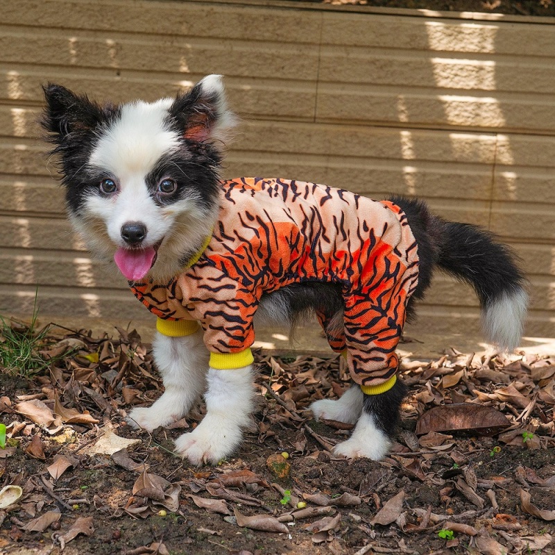 Tiger Pattern Dog Pajamas