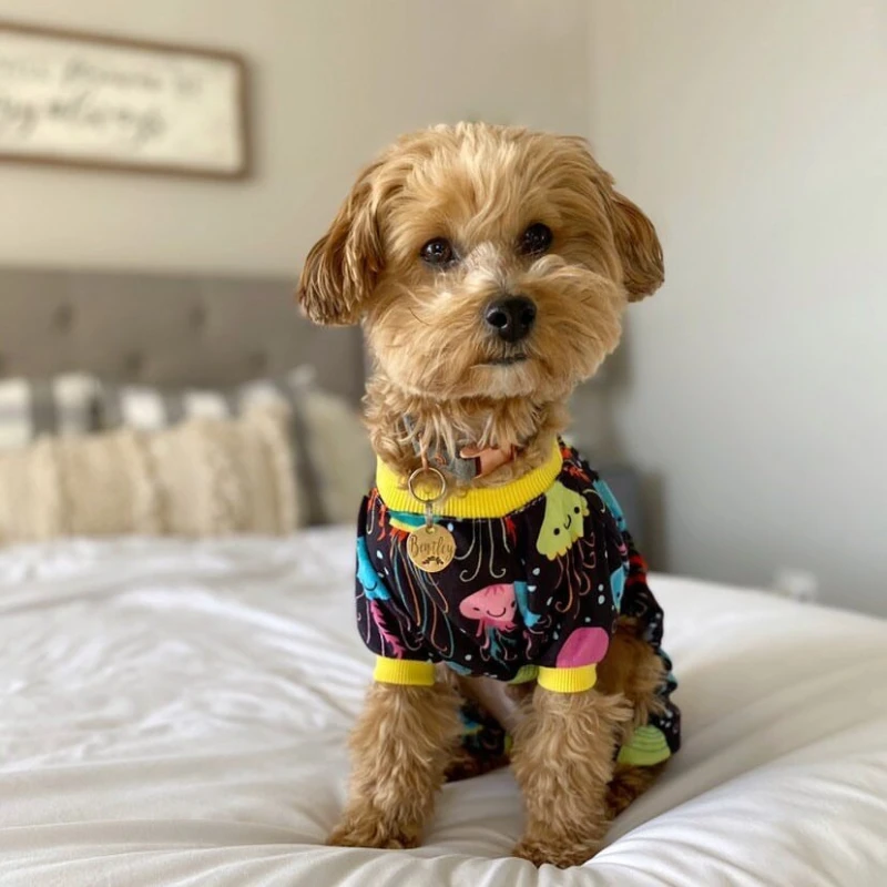 Colorful Jellyfish Pajamas