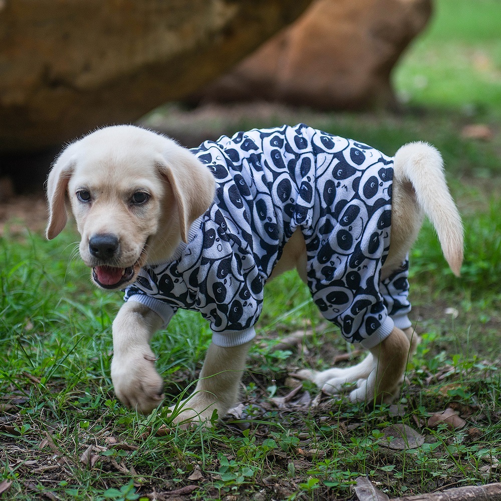 Panda Pattern Dog Pajamas