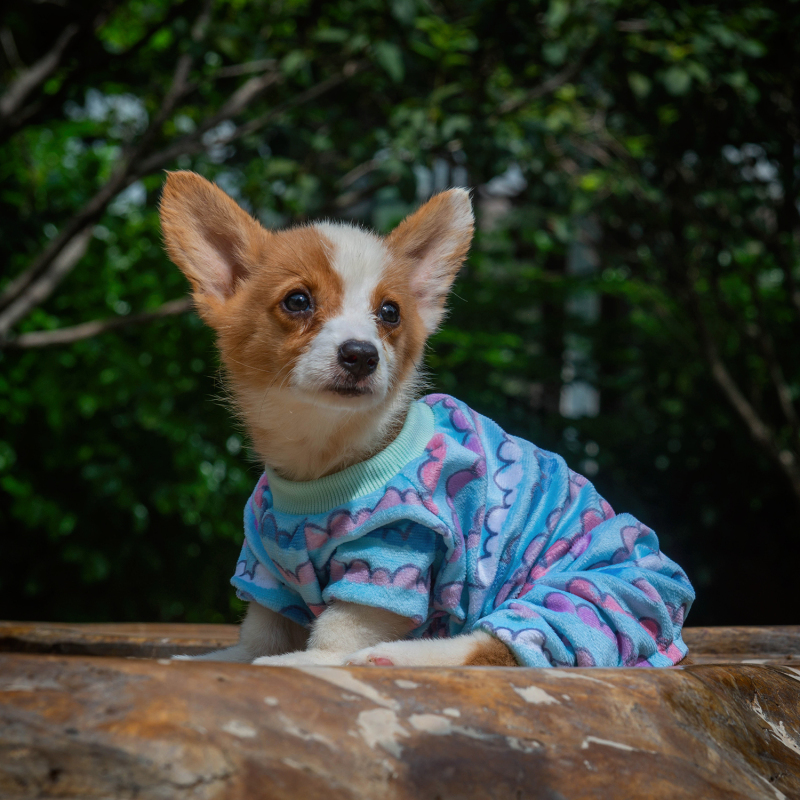 Colorful clouds &amp; Hot air balloon Dog pajamas-2 pcs