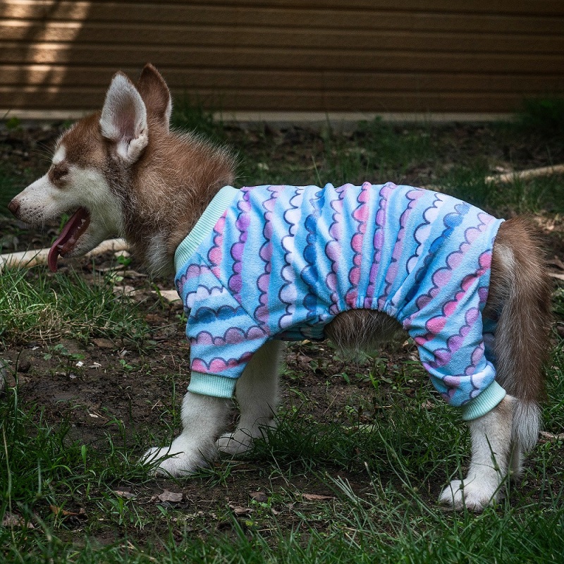 Colorful clouds &amp; Hot air balloon Dog pajamas-2 pcs