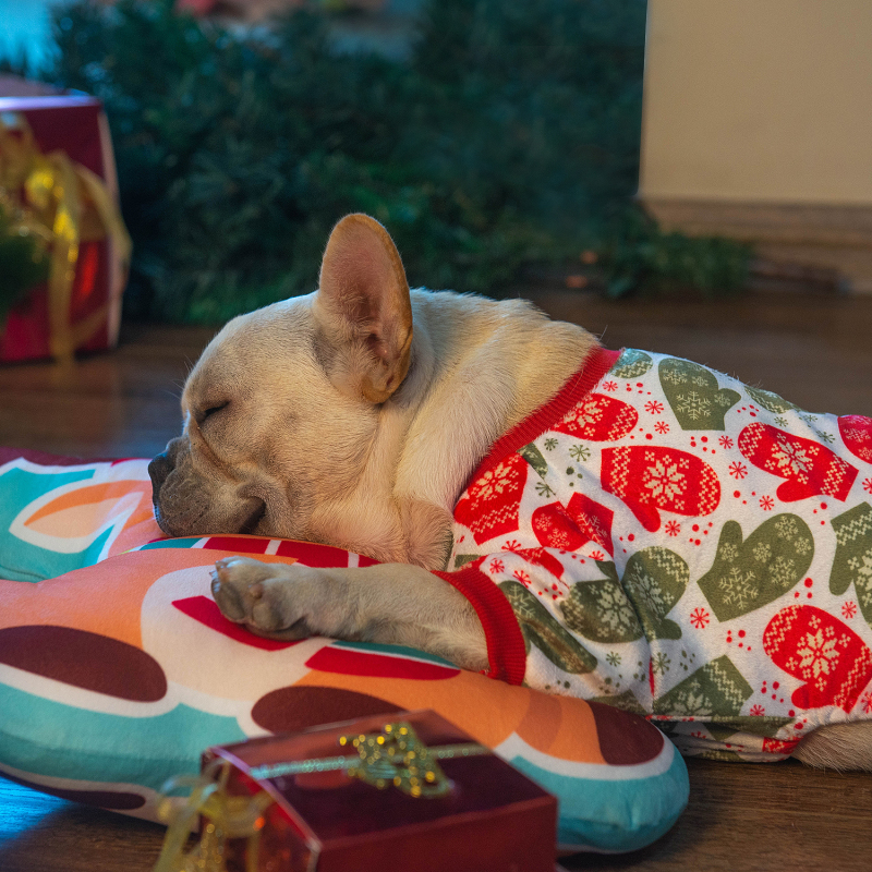 2 pack of Christmas Bells and Gloves Dog Pajamas