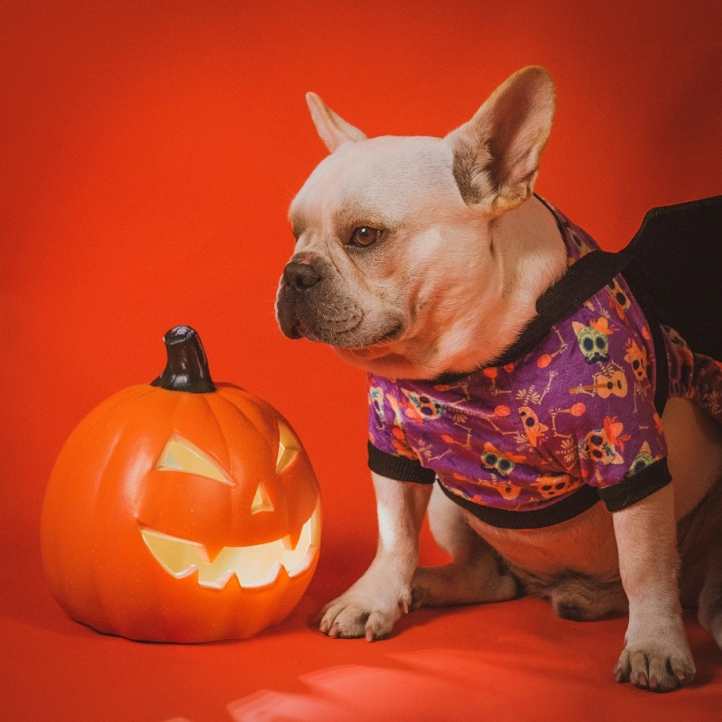 Skulls Band Dog Pajamas