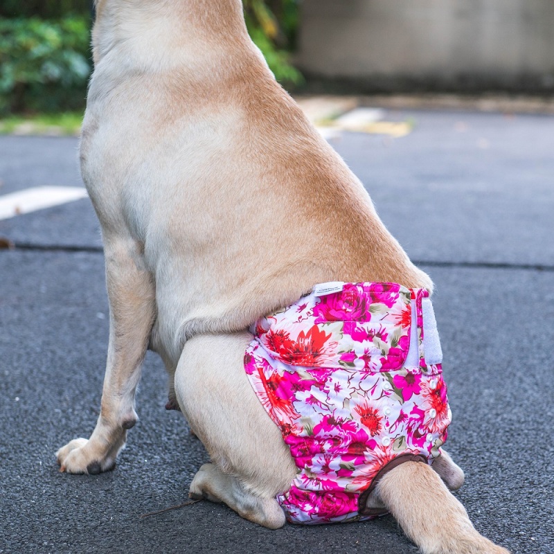 3 Pack Floral Print Reusable Diapers for Female Dog