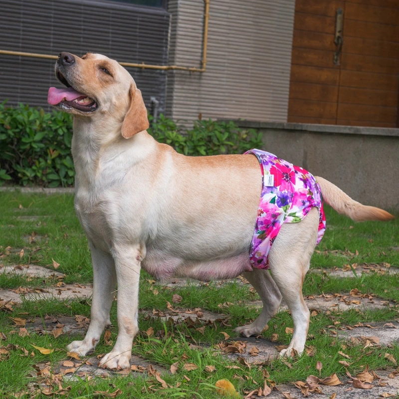 3 Pack Jungle Series Pink Female Dog Diapers