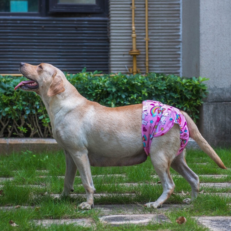 3 Pack Unicorn Pattern Female Dog Diapers