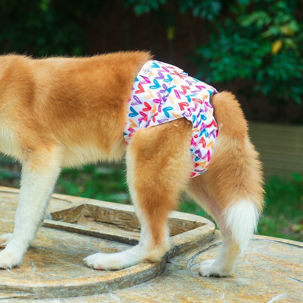 3 Pack Female Dog Diapers-Star&bee&love