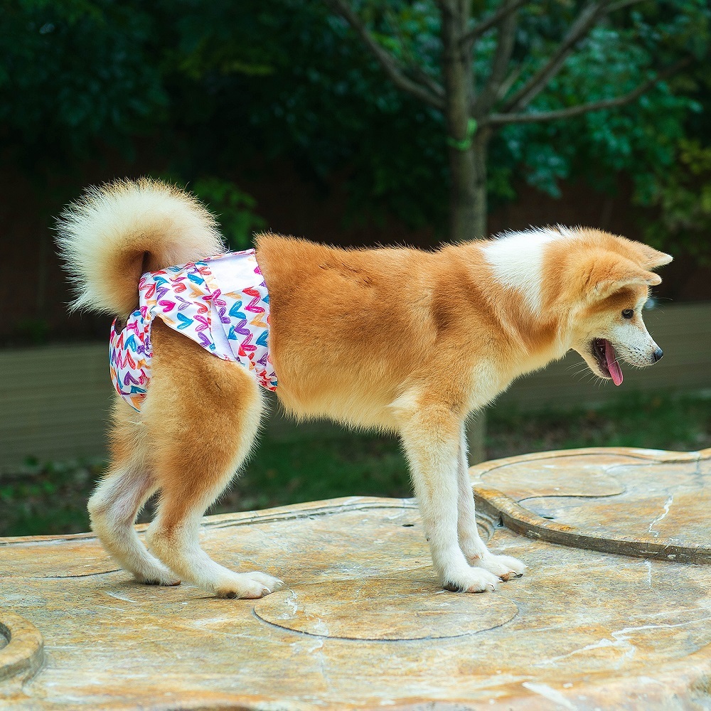 3 Pack Female Dog Diapers-Star&bee&love