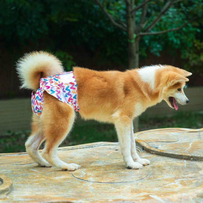 3 Pack Female Dog Diapers-Star&amp;bee&amp;love