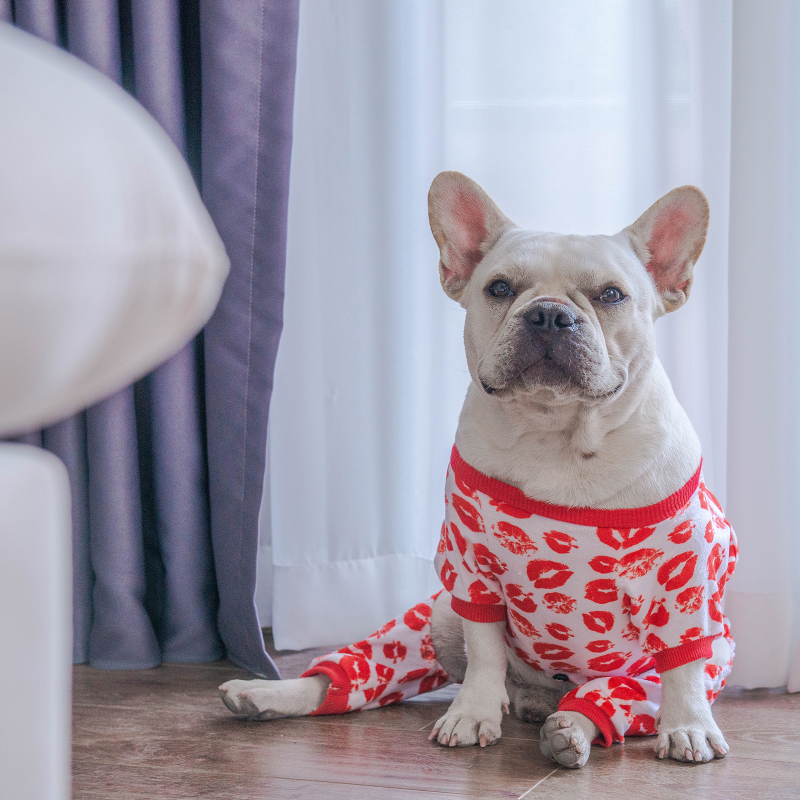 Sweet Kisses Pattern Dog Pajamas