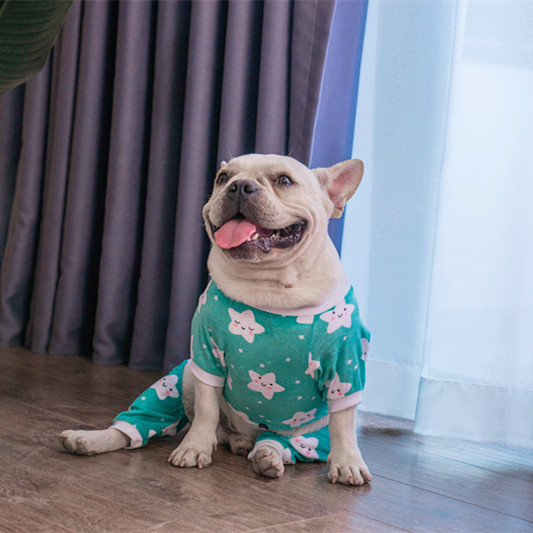 Green Star Pattern Dog Pajamas