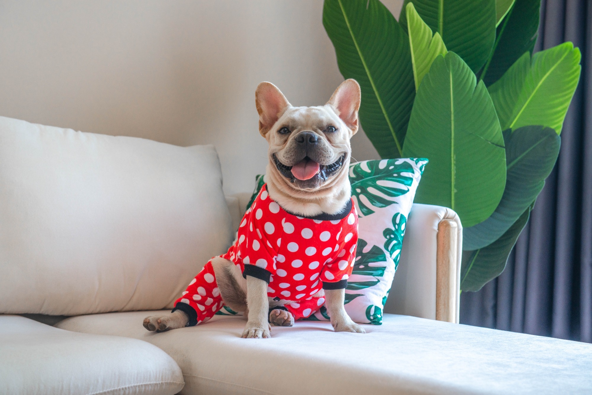 Pink Pig&Dots Dog Pajamas -2pcs