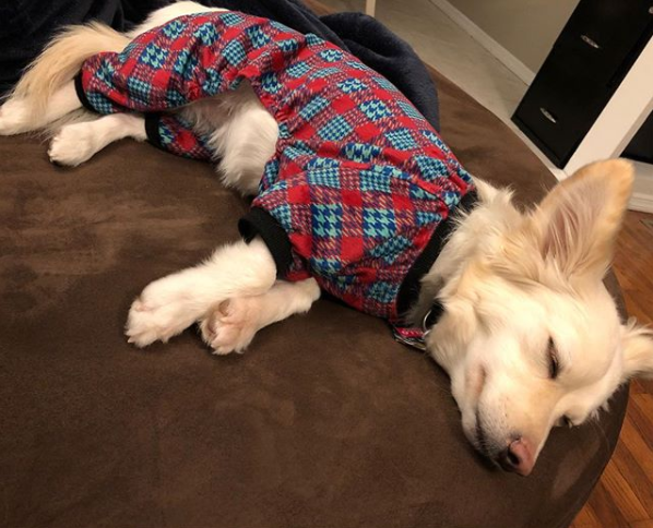 Red plaid pajamas