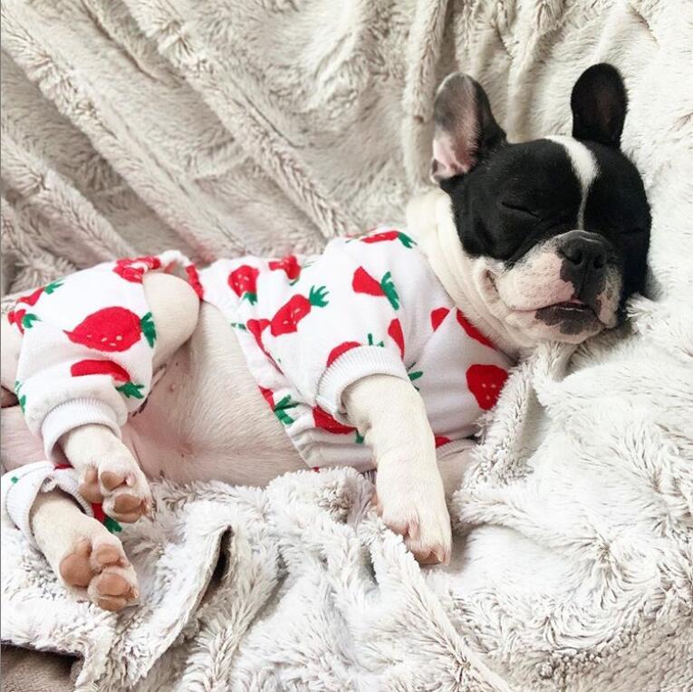 Sweety Strawberry Dog Pajamas