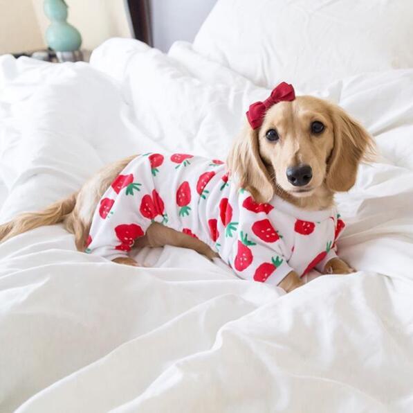 Sweety Strawberry Dog Pajamas