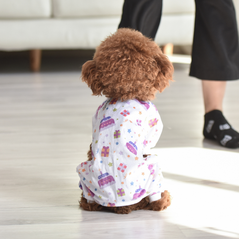 Birthday Cake Pattern Dog Pajamas