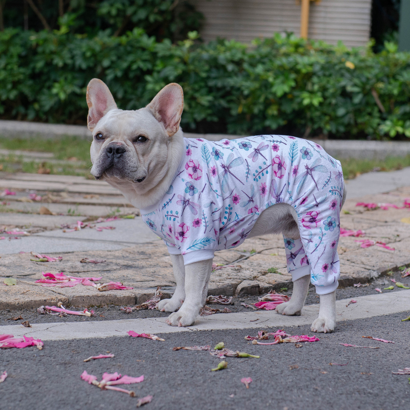 Dragonfly Dog Pajamas