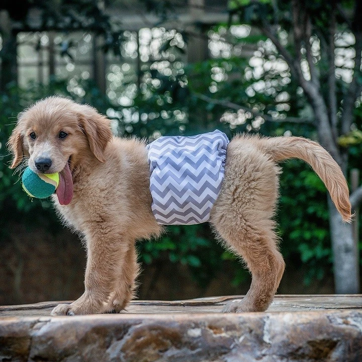 3pcs Washable Belly Bands for Male Dogs -- Skull & Jean & Strip