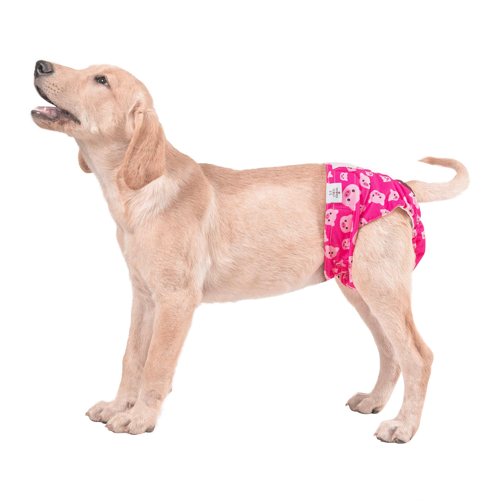3 pack female dog diapers- Pig&Sheep&unicorn
