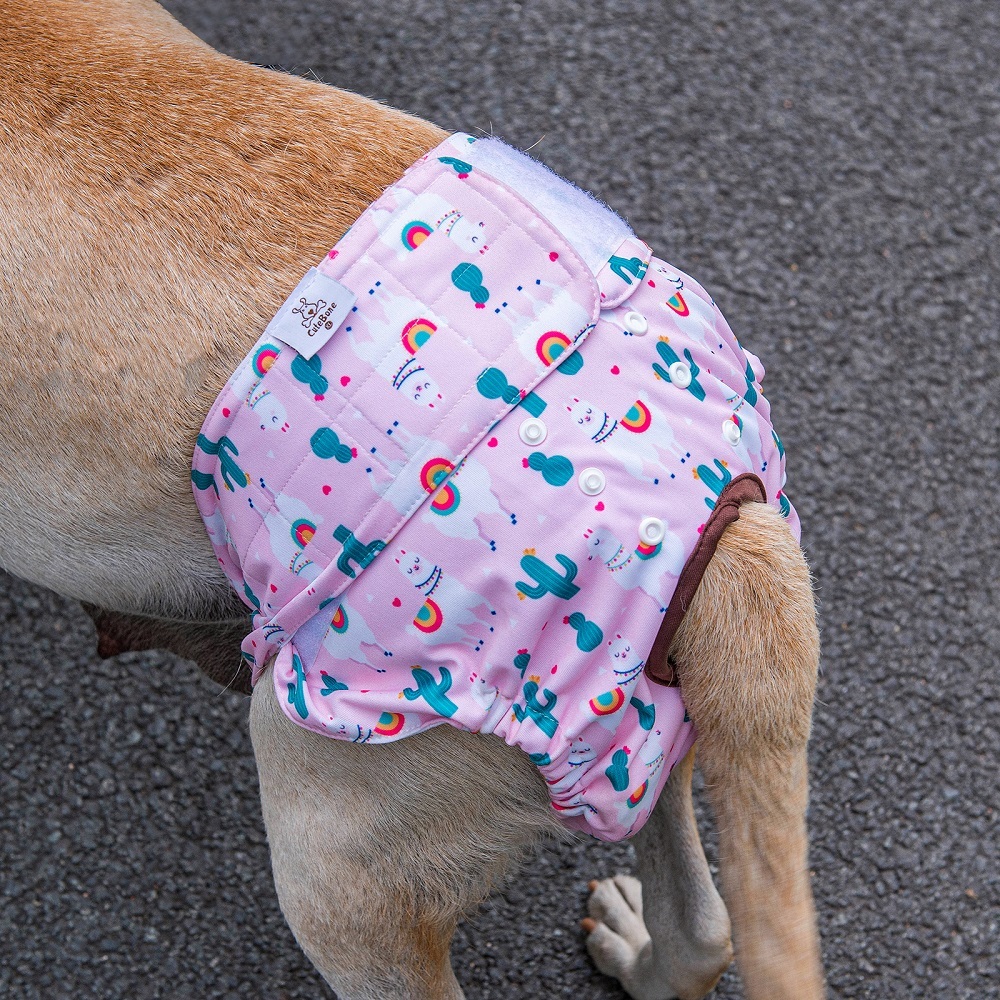3 pack female dog diapers- Pig&Sheep&unicorn