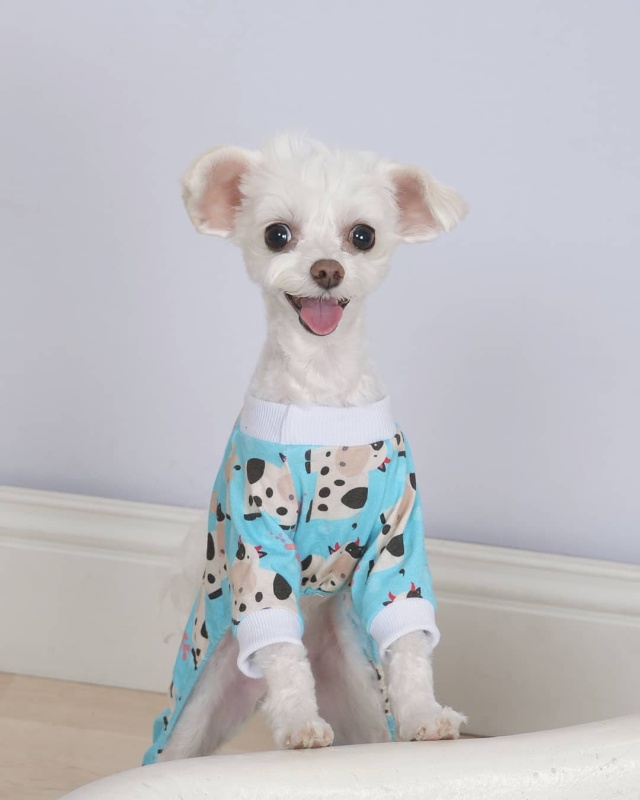 Giraffe&amp;Cows Dog Pajamas -2pcs