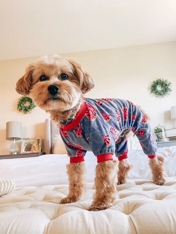 Watermelon Dog Pajamas