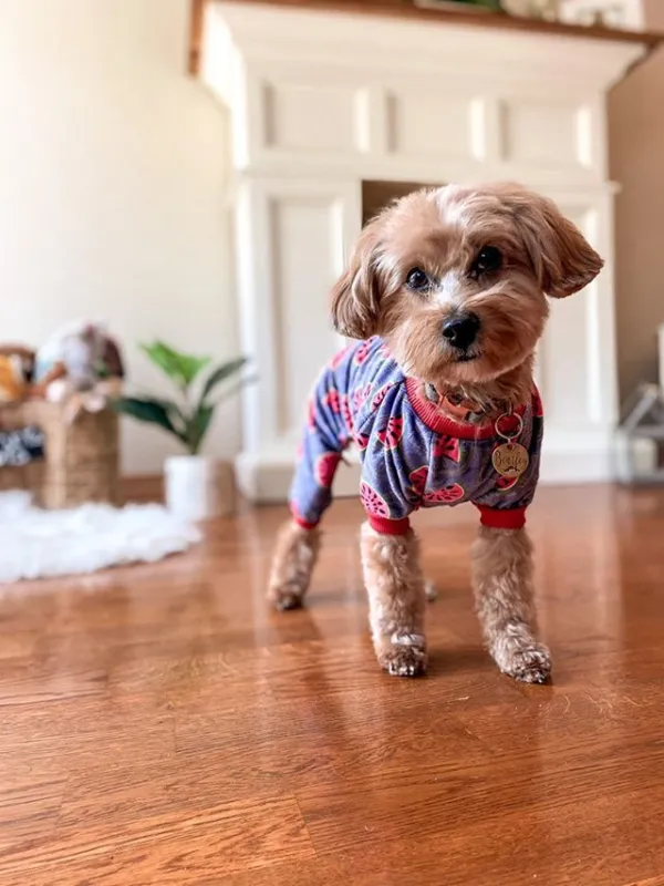 Watermelon Dog Pajamas