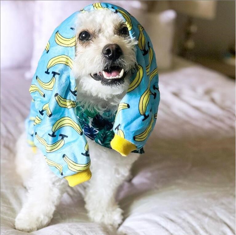 Dog banana pajamas fashion