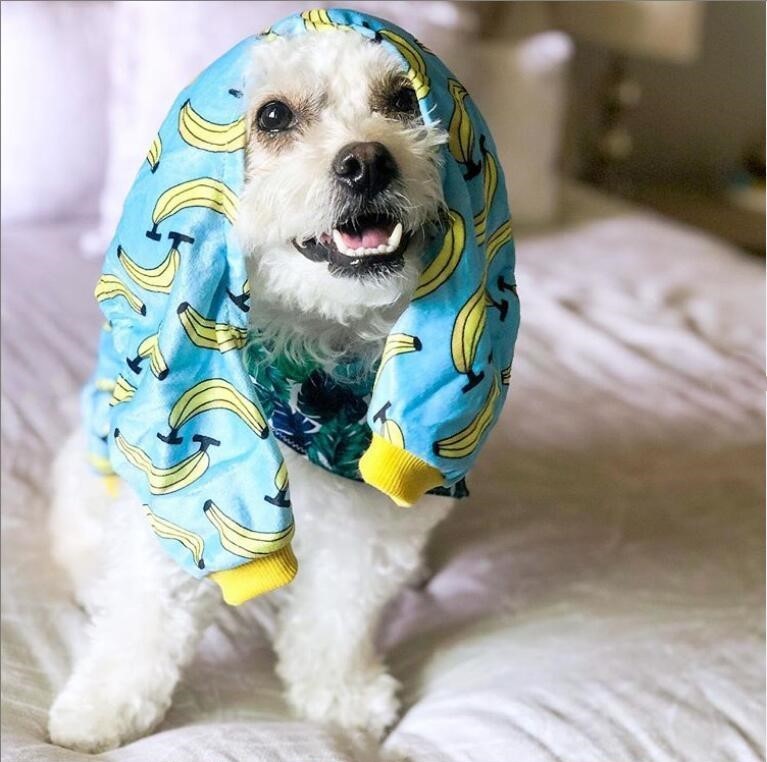 Banana Dog Pajamas