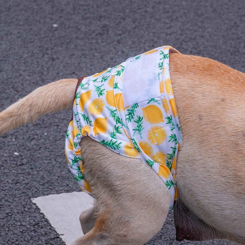 3 pack female dog diapers- Banana&amp;Lemon&amp;Watermelon