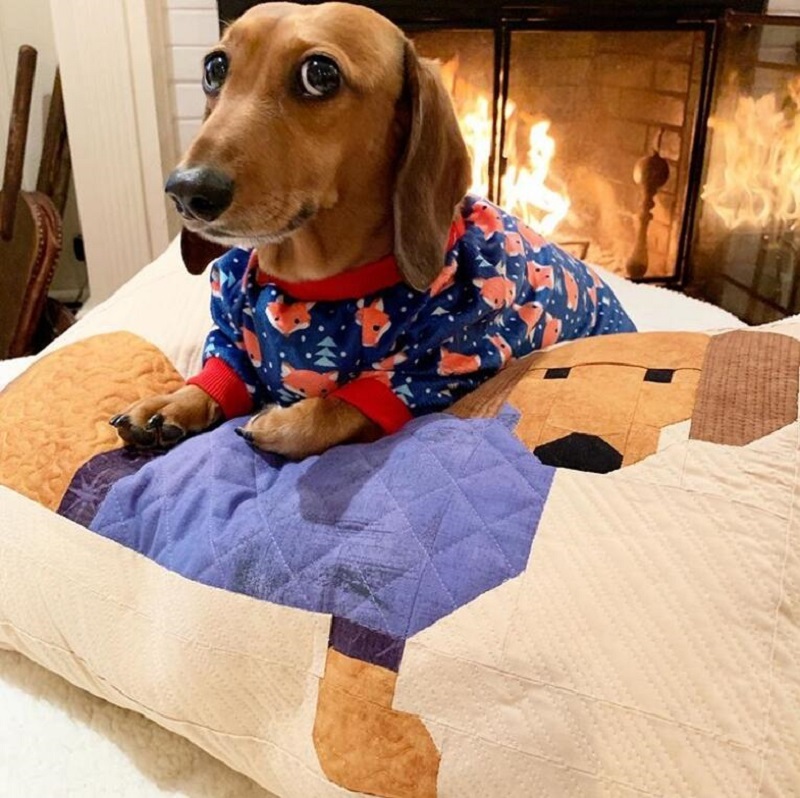 DarkBlue Fox Dog Pajamas