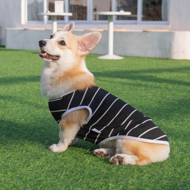 Black&amp;Grey Stripe Dog shirt